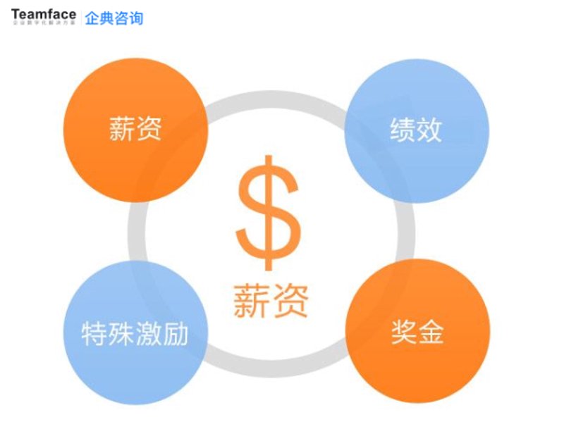 组织架构设计：构建高效团队的关键